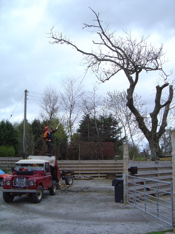1st May 2010 032